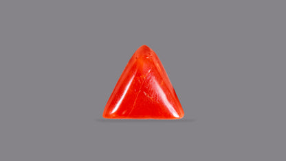 Natural Italian Red Coral (Moonga) 4.99 Carats