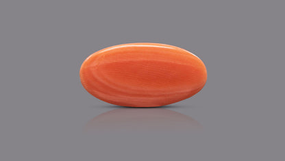 Japanese Red Coral (Moonga) 5.85 Carats