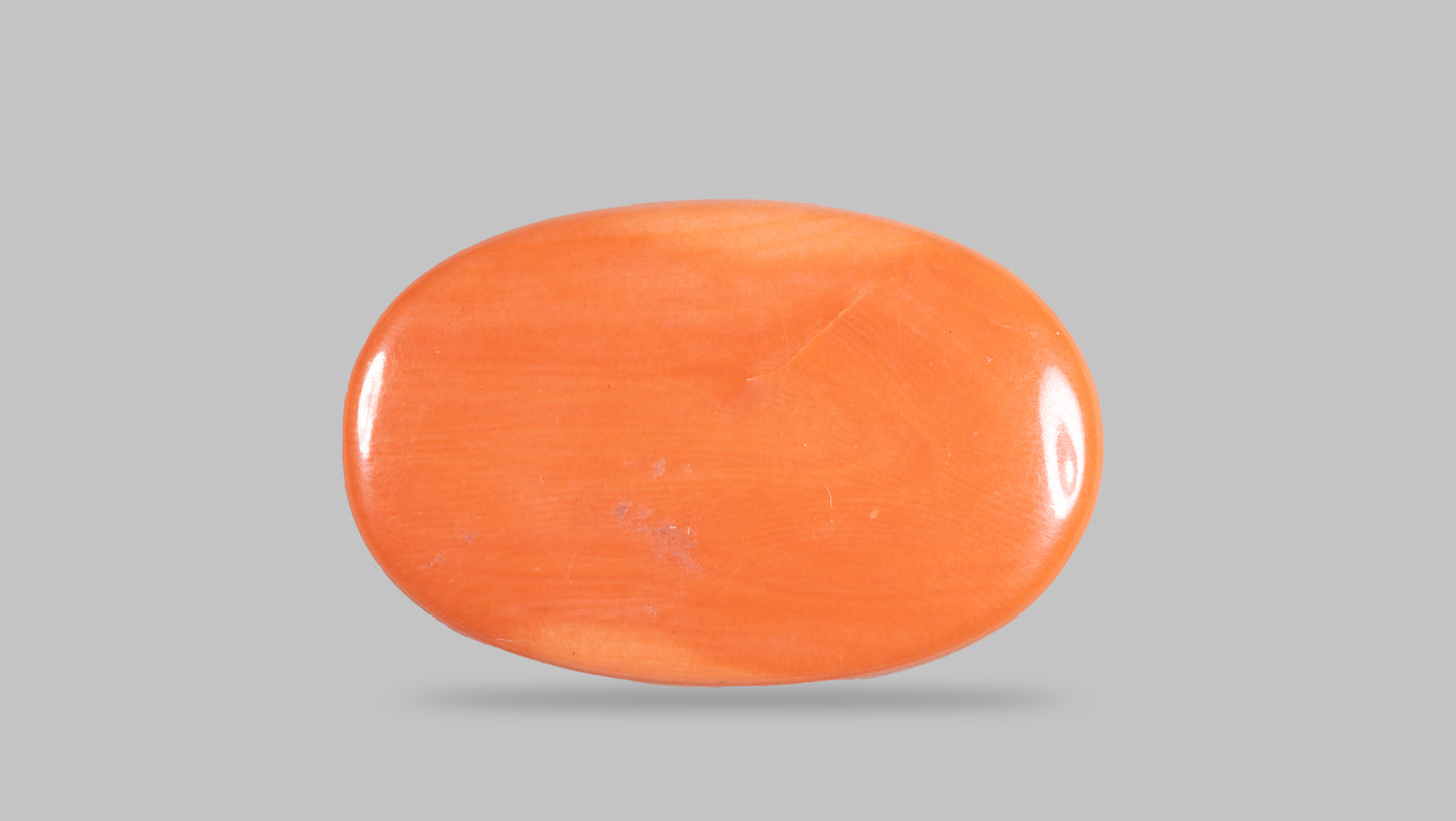 Japanese Red Coral (Moonga) 41.83 Carats