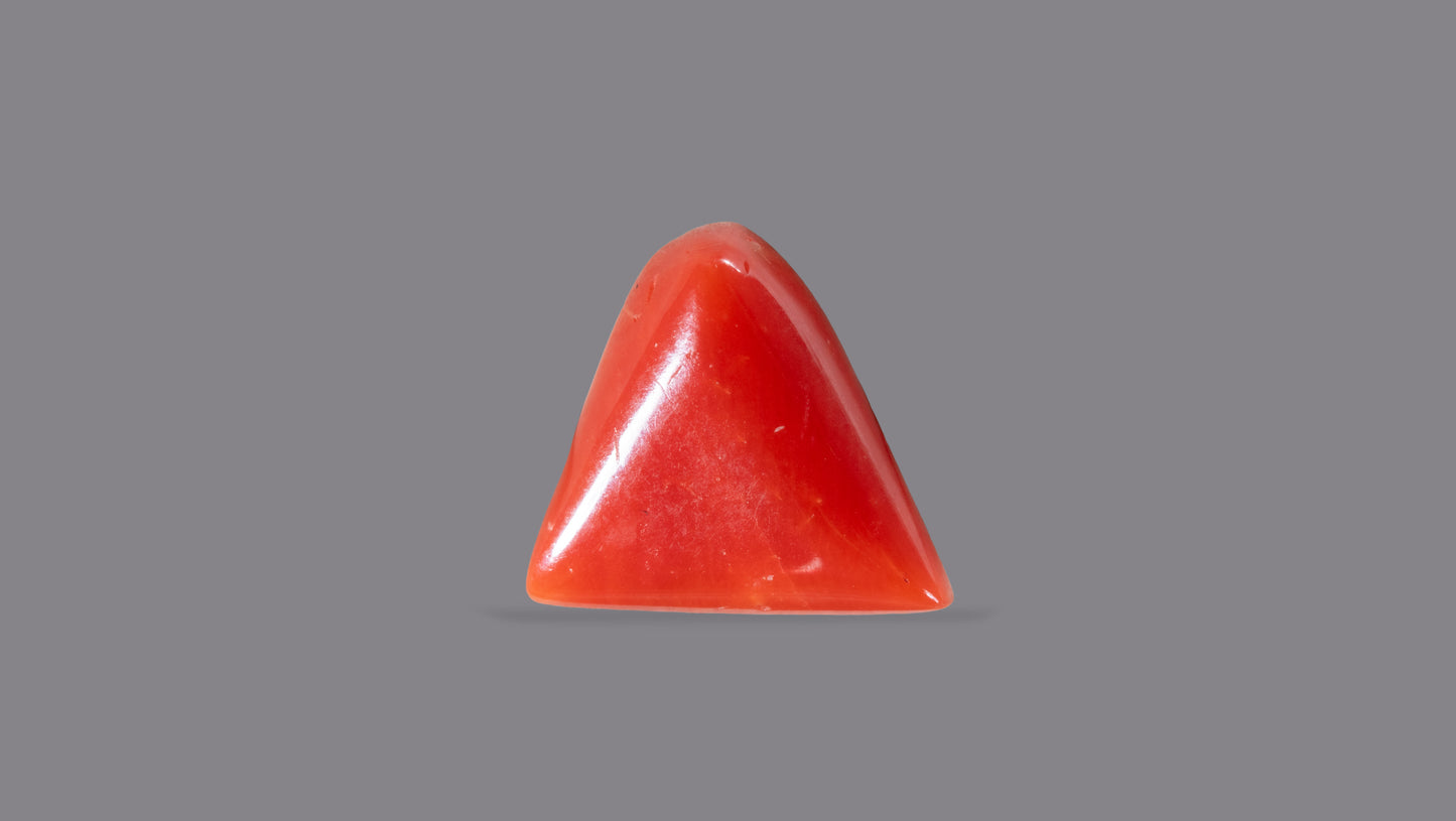 Natural Italian Red Coral (Moonga) 5.27 Carats