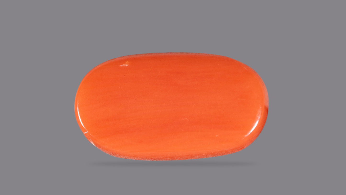 NATURAL RED CORAL (Moonga) 5.74 CARATS