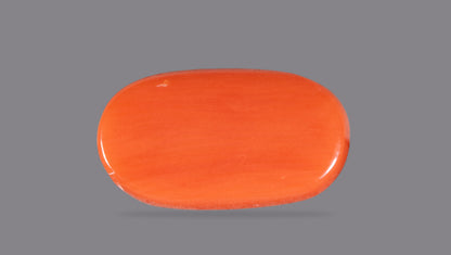 NATURAL RED CORAL (Moonga) 5.74 CARATS