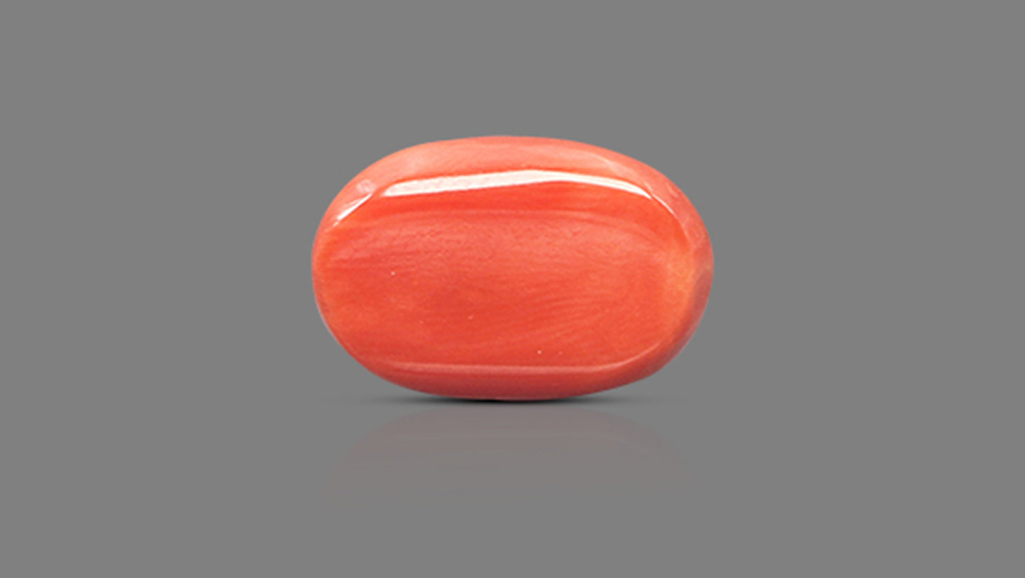 Natural Italian Red Coral (Moonga) 11.64 Carats