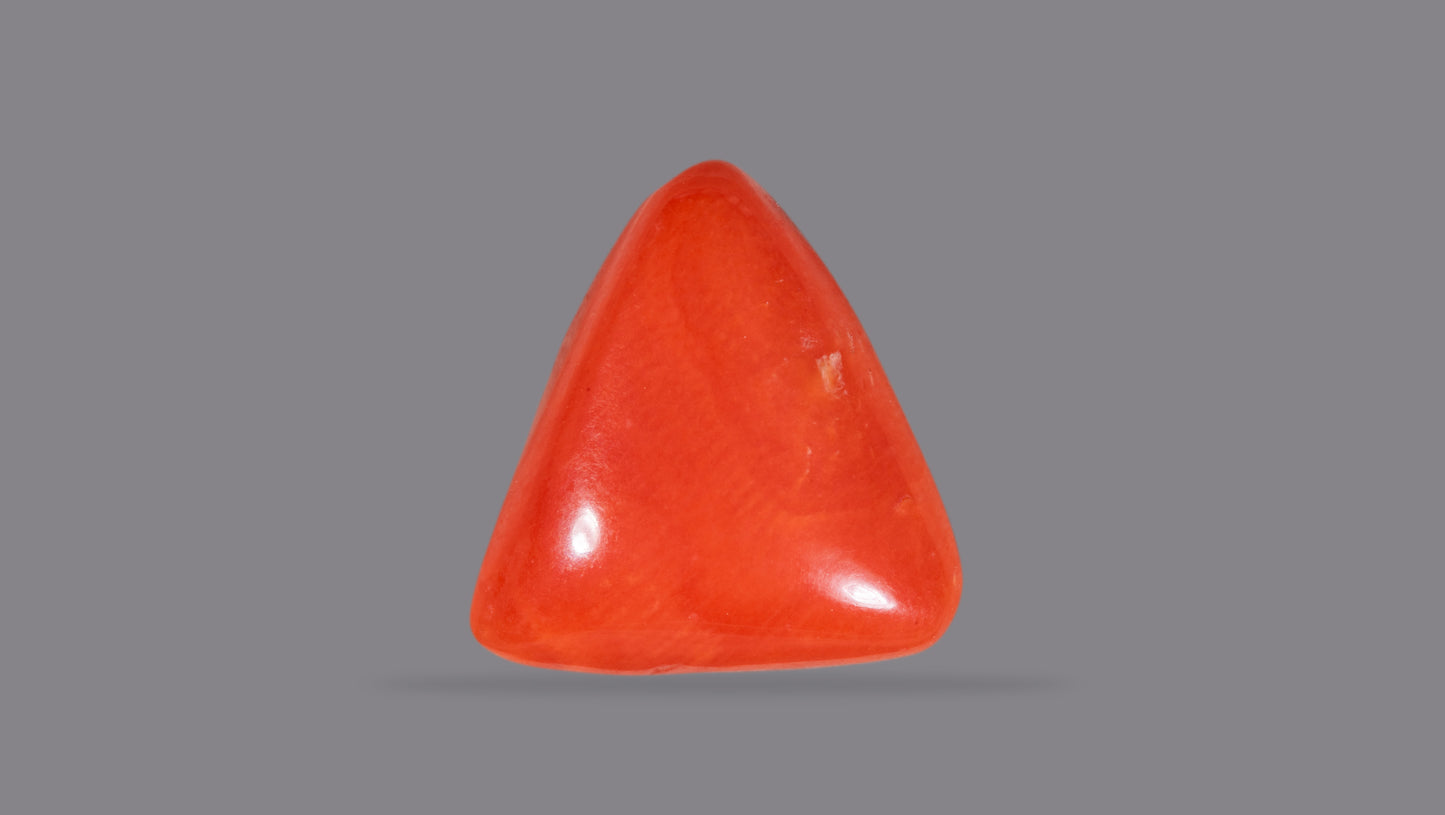 NATURAL RED CORAL (Moonga) 7.39 CARATS