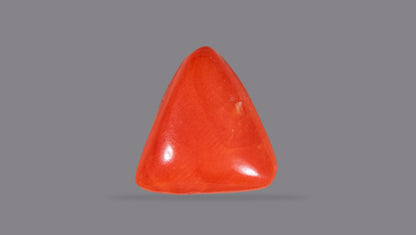 NATURAL RED CORAL (Moonga) 7.39 CARATS