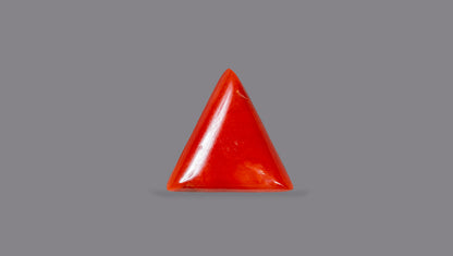 NATURAL RED CORAL (Moonga) 7.50 CARATS