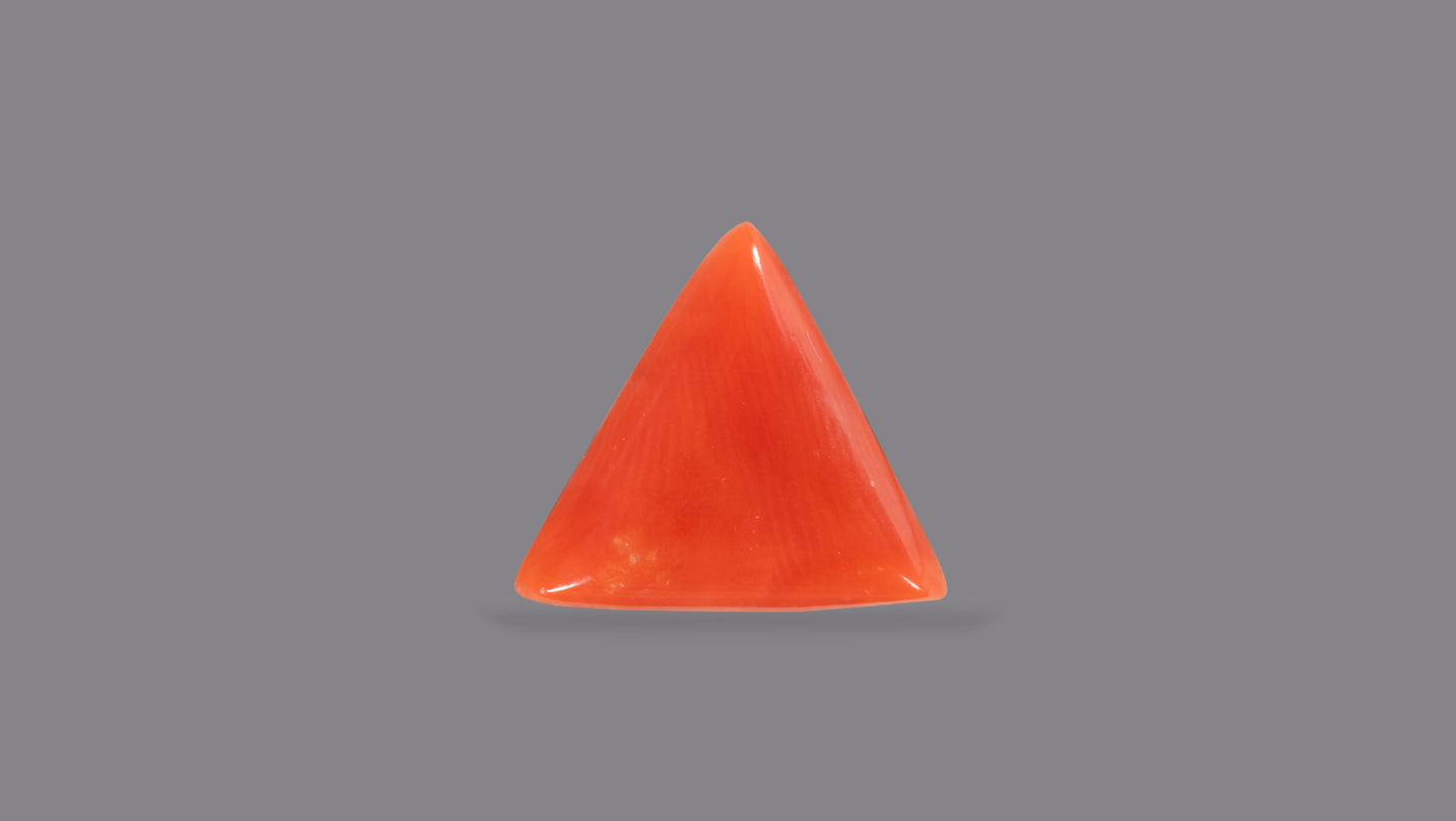 Natural Italian Red Coral (Moonga) 6.21 Carats