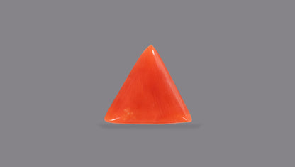 Natural Italian Red Coral (Moonga) 6.21 Carats