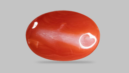 Japanese Red Coral (Moonga) 8.99 Carats