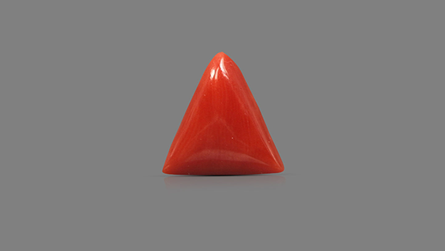 Natural Italian Red Coral (Moonga) 5.72 Carats