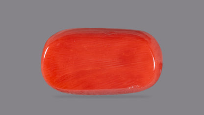 Natural Italian Red Coral (Moonga) 14.25 Carats