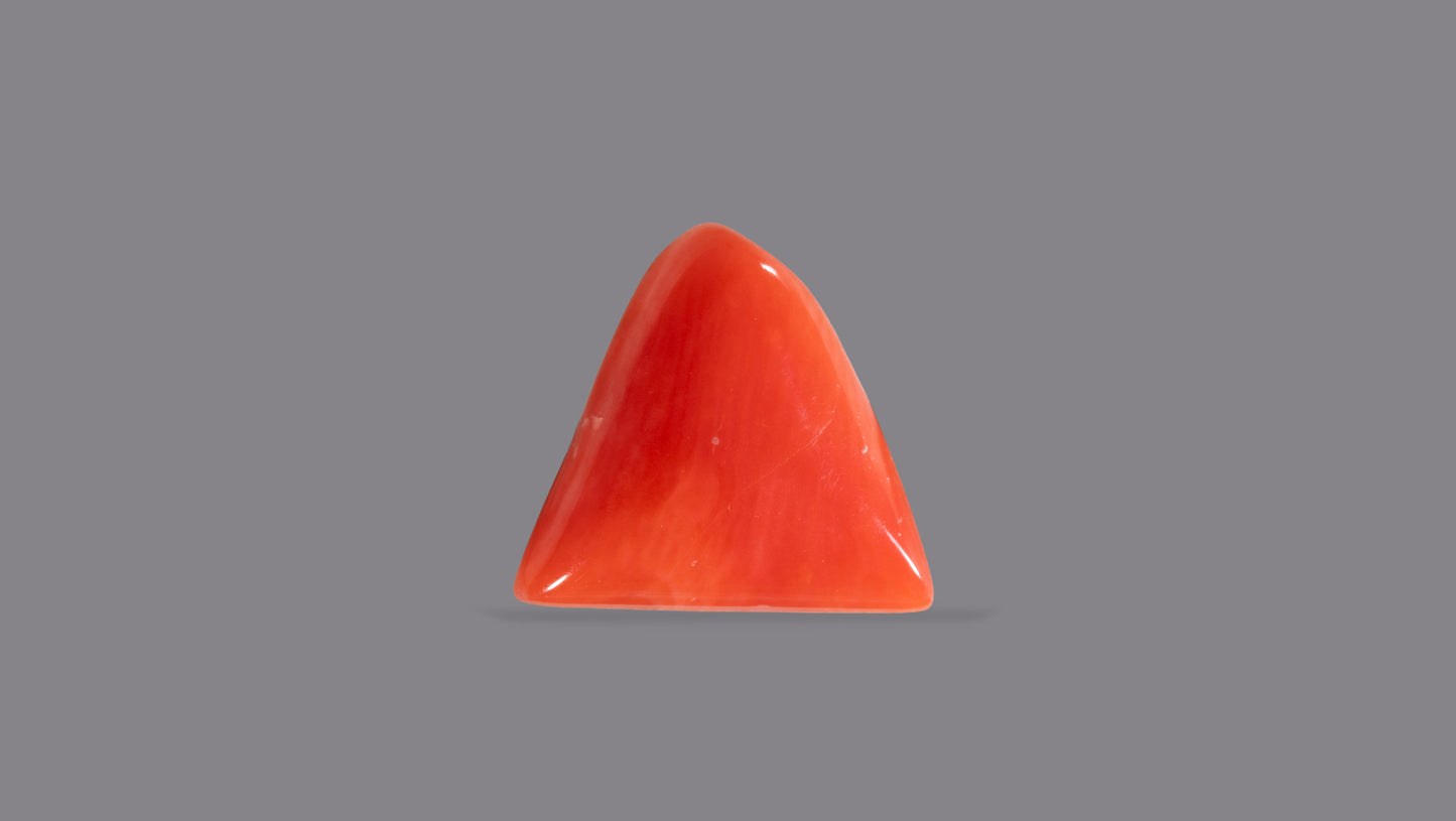 Natural Italian Red Coral (Moonga) 4.93 Carats