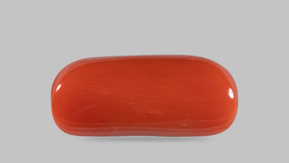 Natural Italian Red Coral (Moonga) 14.19 Carats