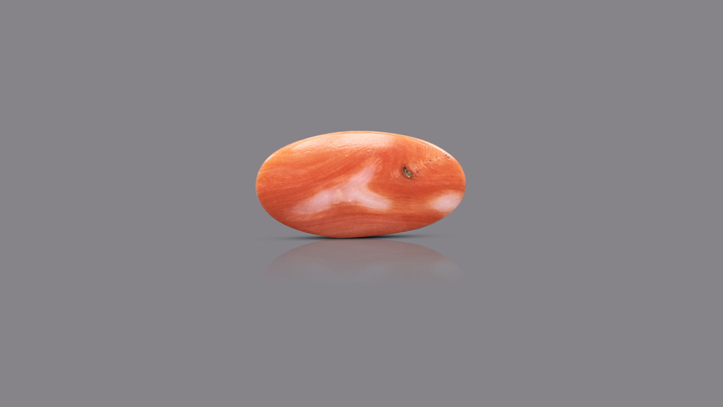 Japanese Red Coral (Moonga) 7.09 Carats