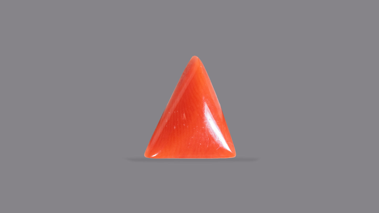 Natural Italian Red Coral (Moonga) 5.04 Carats