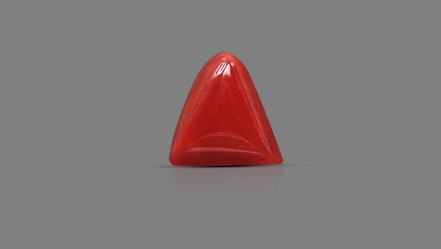 Natural Italian Red Coral (Moonga) 6.01 Carats
