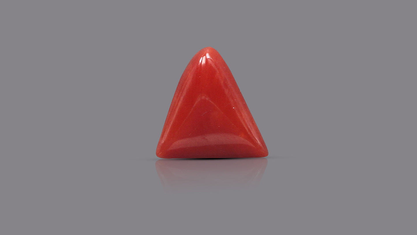 Natural Italian Red Coral (Moonga) 5.83 Carats