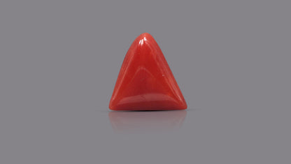 Natural Italian Red Coral (Moonga) 5.83 Carats