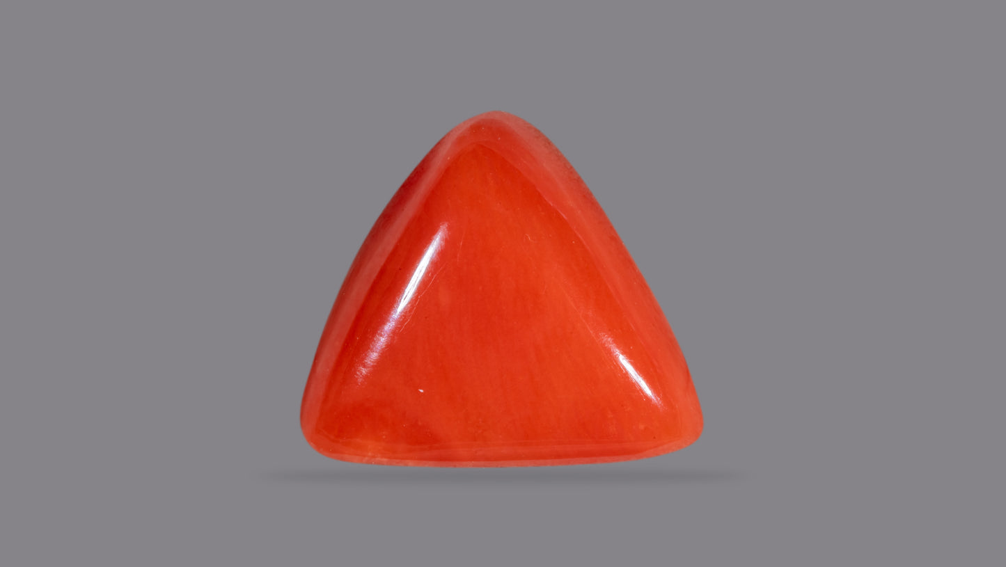 Natural Italian Red Coral (Moonga) 6.22 Carats