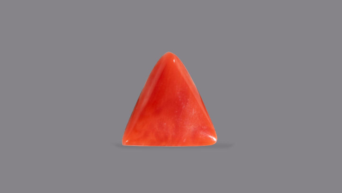 Natural Italian Red Coral (Moonga) 4.95 Carats