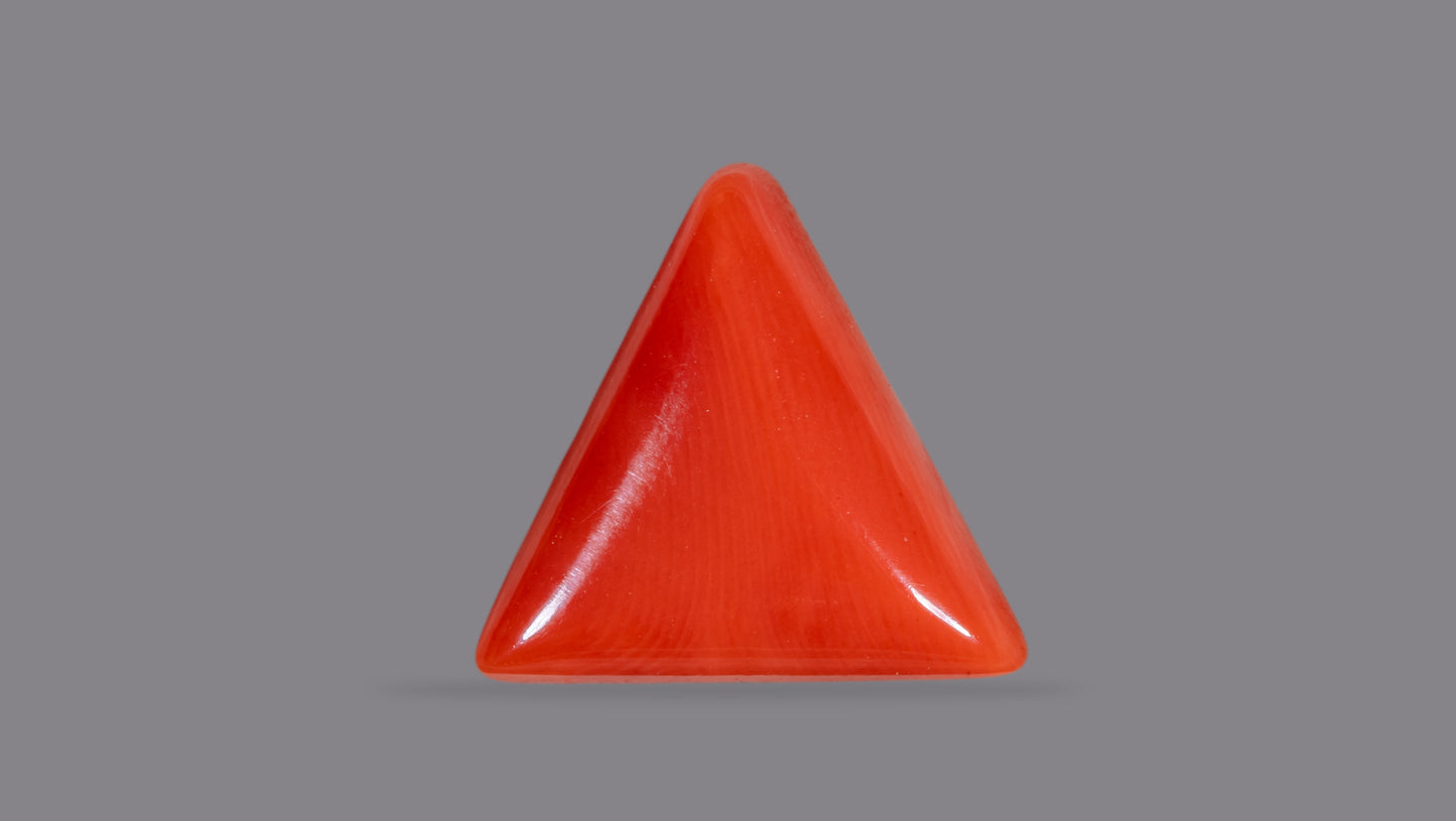 Natural Italian Red Coral (Moonga) 6.48 Carats