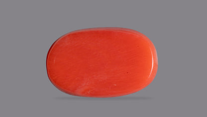 Natural Italian Red Coral (Moonga) 11.54 Carats