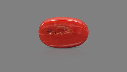 Natural Italian Red Coral (Moonga) 10.46 Carats