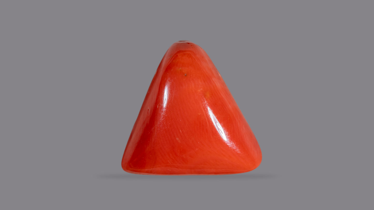NATURAL RED CORAL (Moonga) 13.83 CARATS