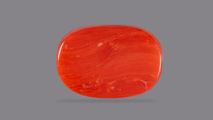 Natural Italian Red Coral (Moonga) 12.43 Carats