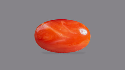 JAPANESE RED CORAL (Moonga) 4.85 CARATS
