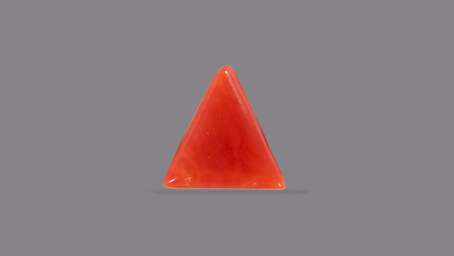 Natural Italian Red Coral (Moonga) 6.11 Carats
