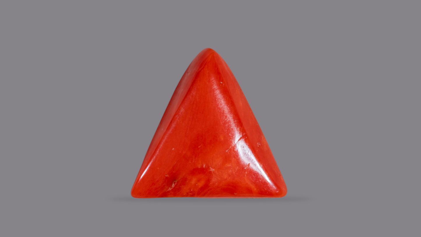 Natural Italian Red Coral (Moonga) 10.89 Carats