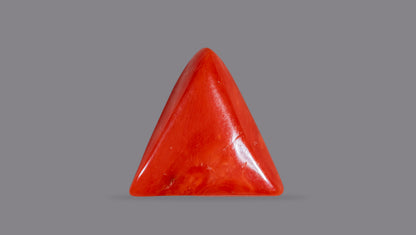 Natural Italian Red Coral (Moonga) 10.89 Carats