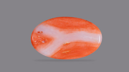 Japanese  Red Coral (Moonga) 12.18 Carats