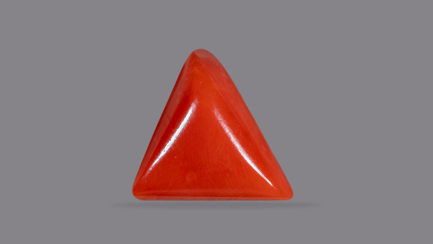 Natural Italian Red Coral (Moonga) 6.27 Carats