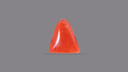 Natural Italian Red Coral (Moonga) 5.98 Carats
