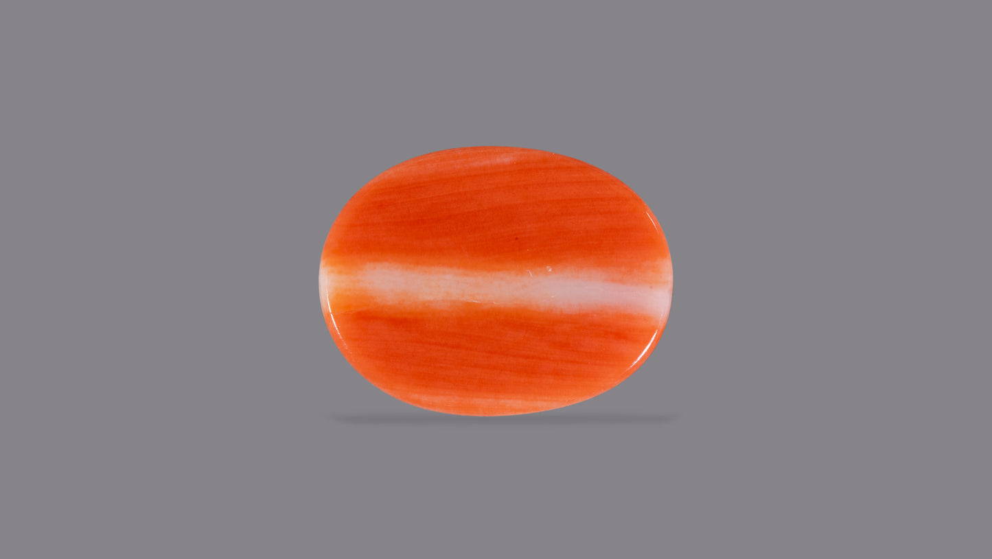 Japanese Red Coral (Moonga) 7.50 Carats