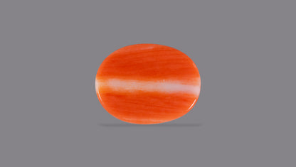 Japanese Red Coral (Moonga) 7.50 Carats