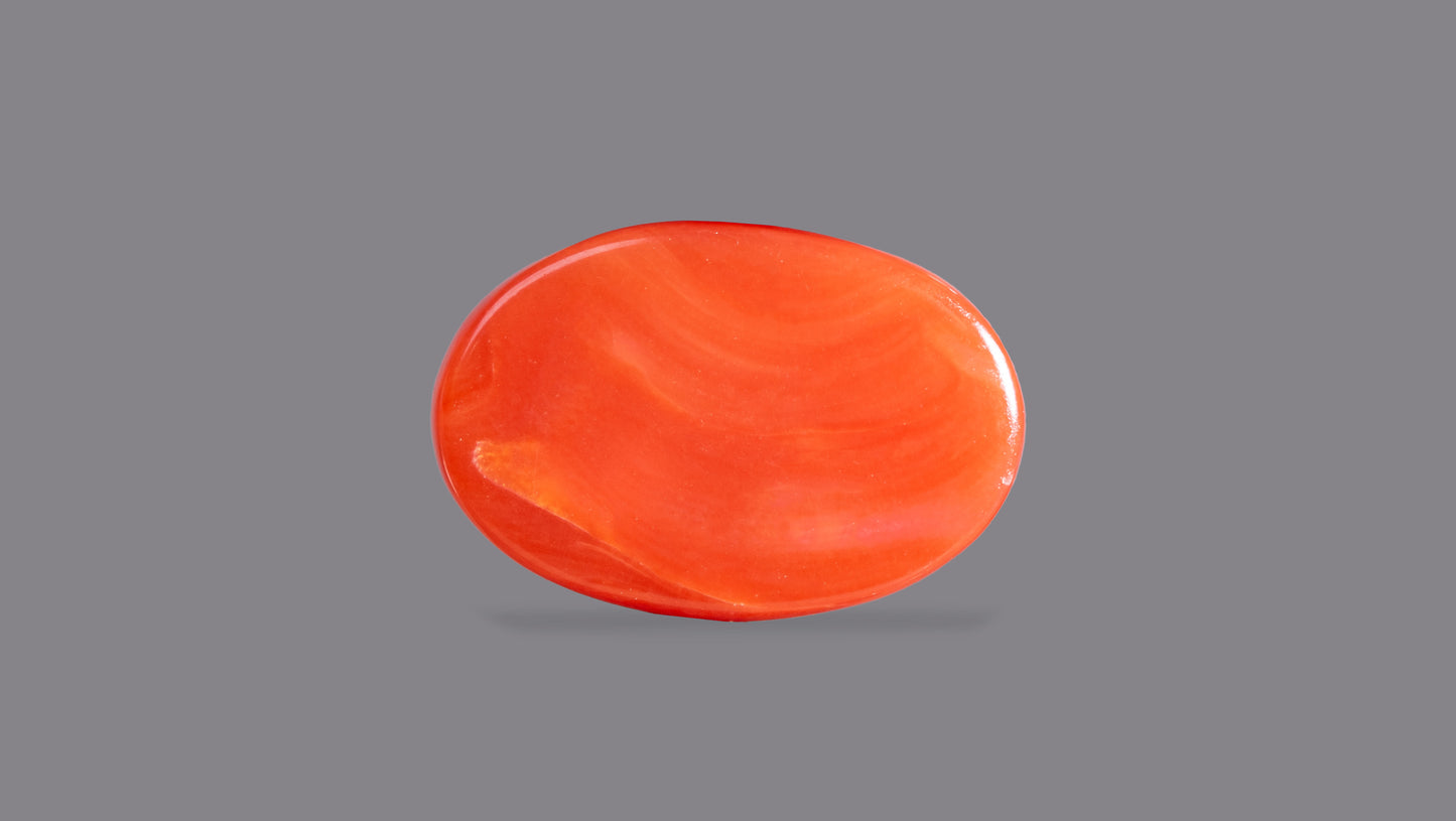 Japanese Red Coral (Moonga) 5.44 Carats