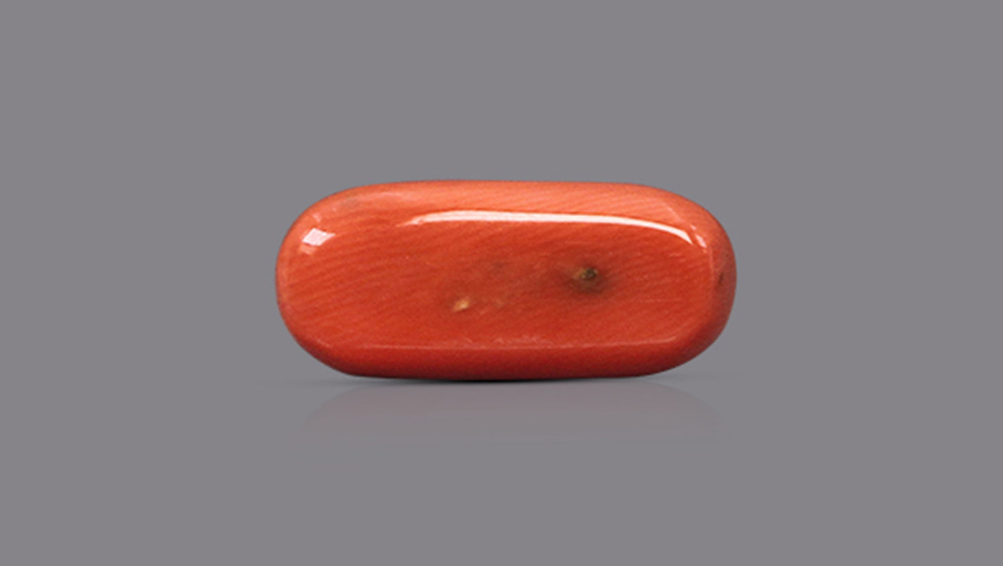 Natural Italian Red Coral (Moonga) 9.16 Carats