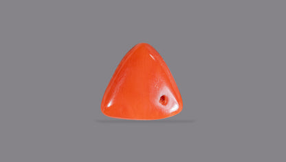 Natural Italian Red Coral (Moonga) 9.02 Carats