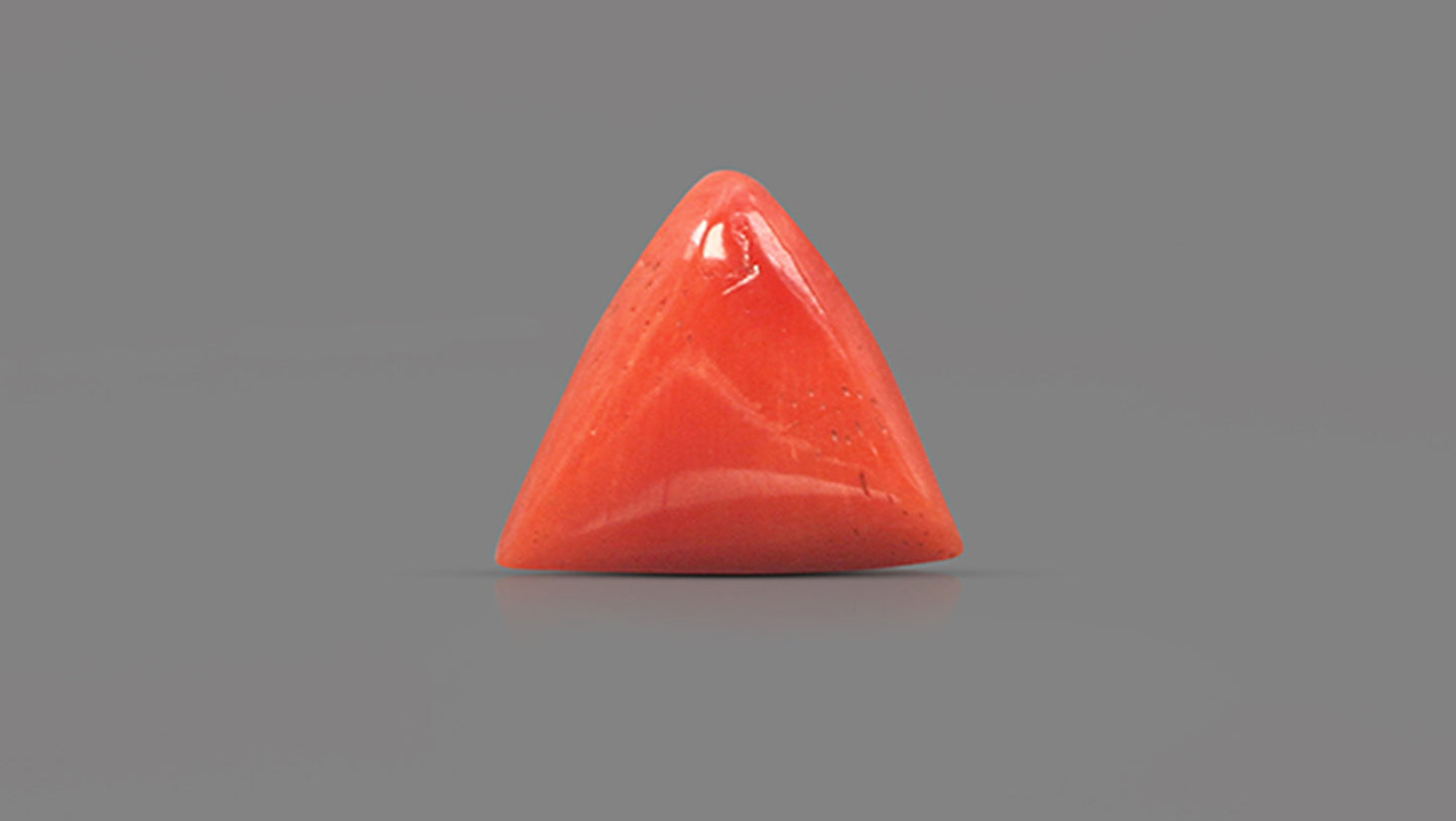 Natural Italian Red Coral (Moonga) 7.78 Carats