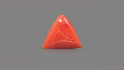 Natural Italian Red Coral (Moonga) 7.78 Carats