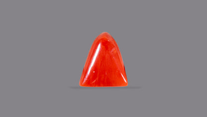 Natural Italian Red Coral (Moonga) 6.05 Carats