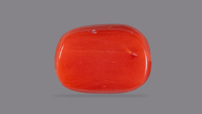 Natural Italian Red Coral (Moonga) 8.12 Carats