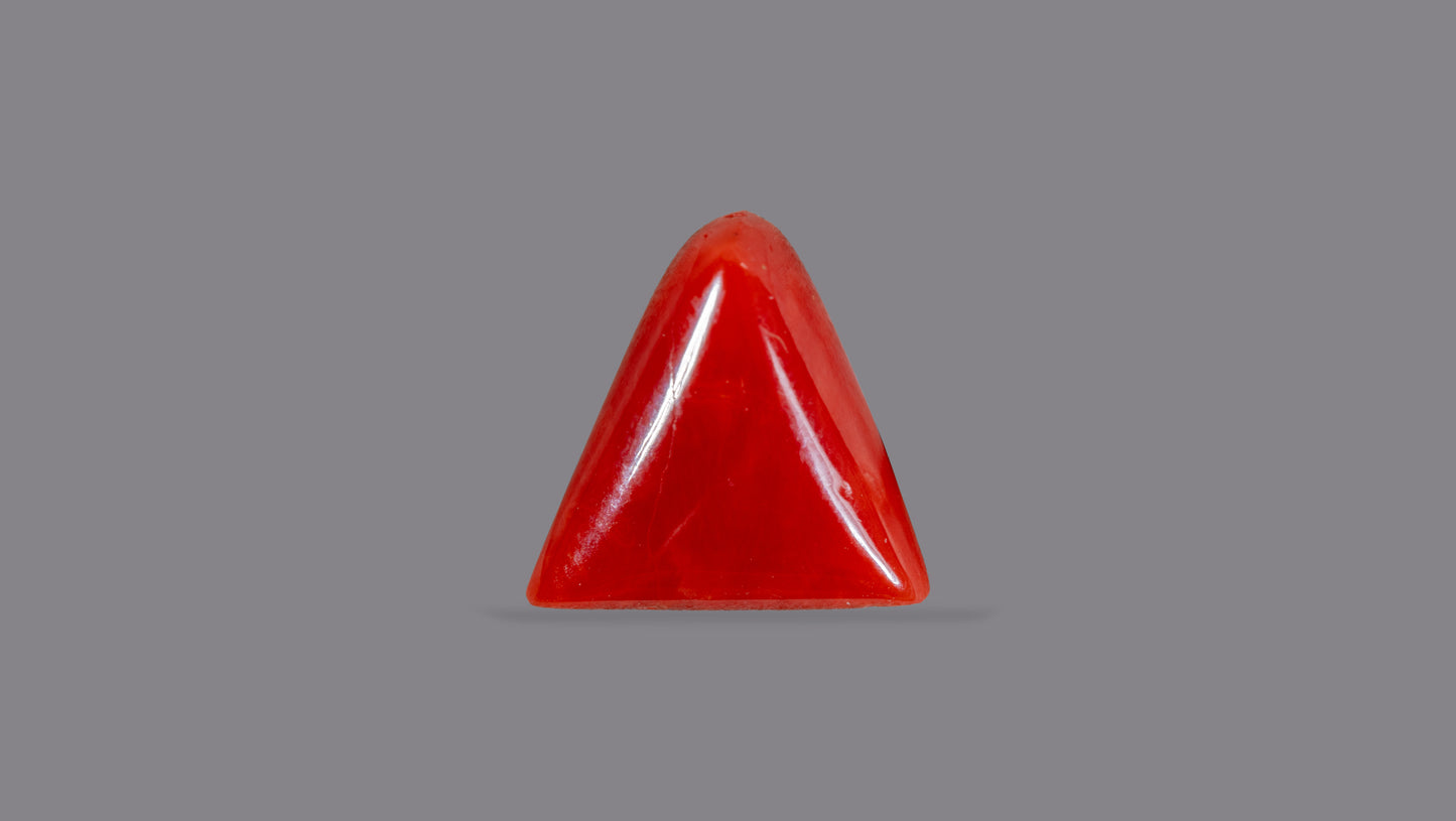 Natural Italian Red Coral (Moonga) 5.10 Carats