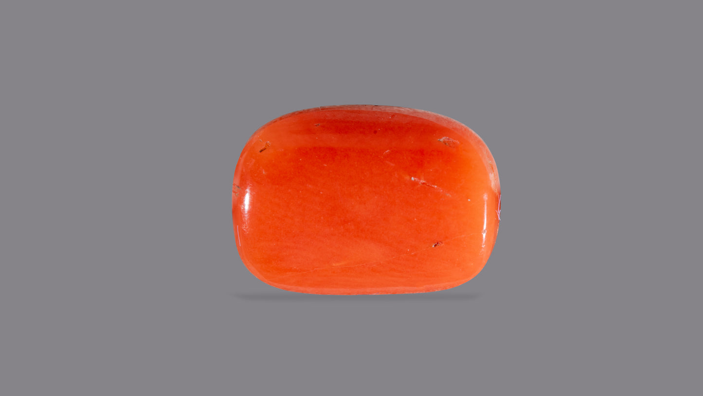 Natural Italian Red Coral (Moonga) 5.90 Carats