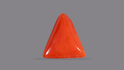 Natural Italian Red Coral (Moonga) 5.74 Carats