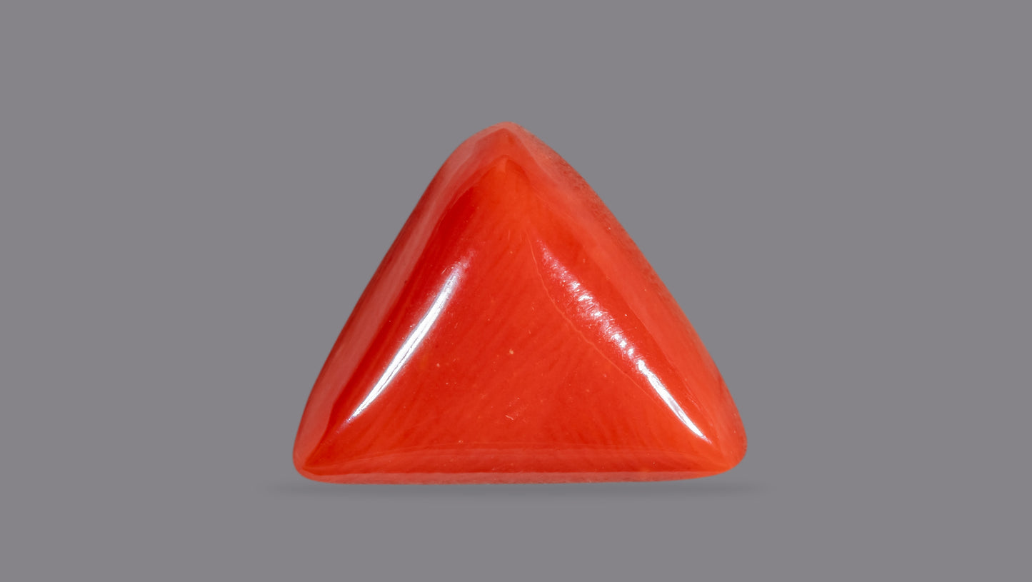 Natural Italian Red Coral (Moonga) 7.05 Carats
