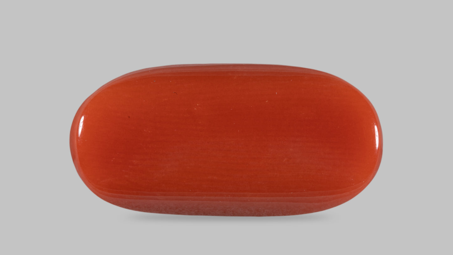 Natural Italian Red Coral (Moonga) 11.66 Carats